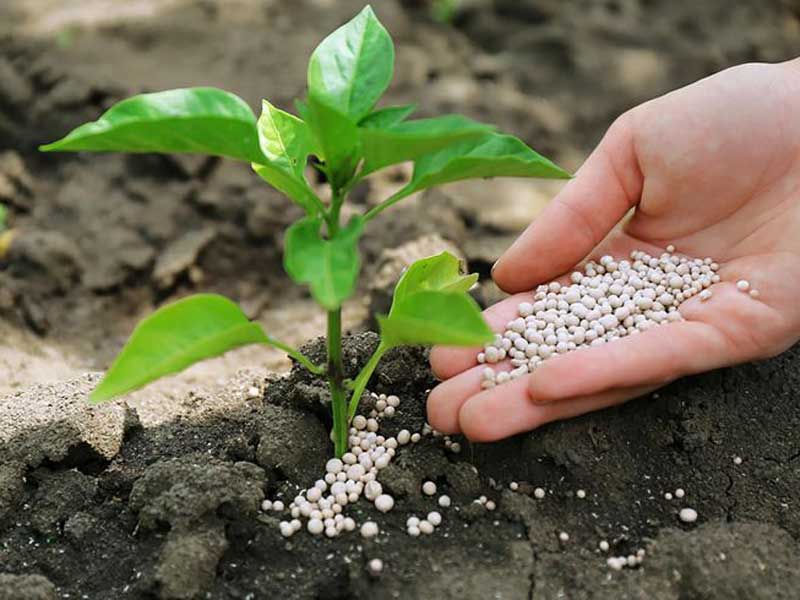 انواع کودهای شیمیایی