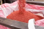 دانههای غلات ضدعفونیشده با تبوکونازول DS