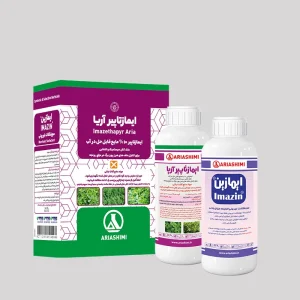 ایمازتاپیر